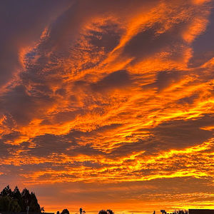 Meet your Posher, Sally